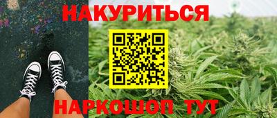 СК Обь