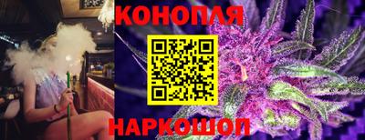дмт Обнинск