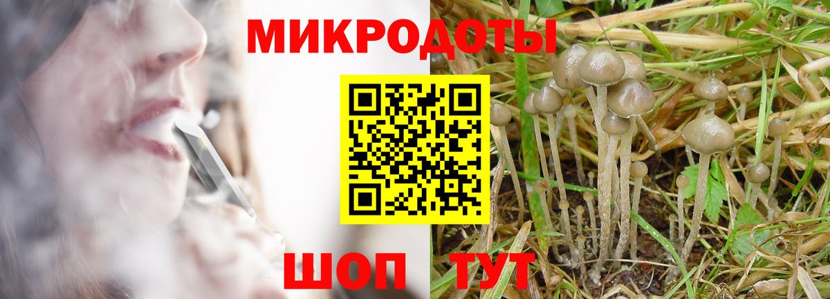 Галлюциногенные грибы Psilocybe  Вход с VPN  Рославль 